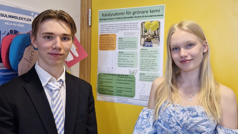 Beatrice Watz och Linus Nilevi från Östra gymnasiet i Trångsund. Foto: privat