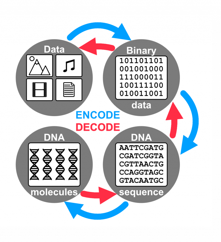 DNA – framtidens datalagring?