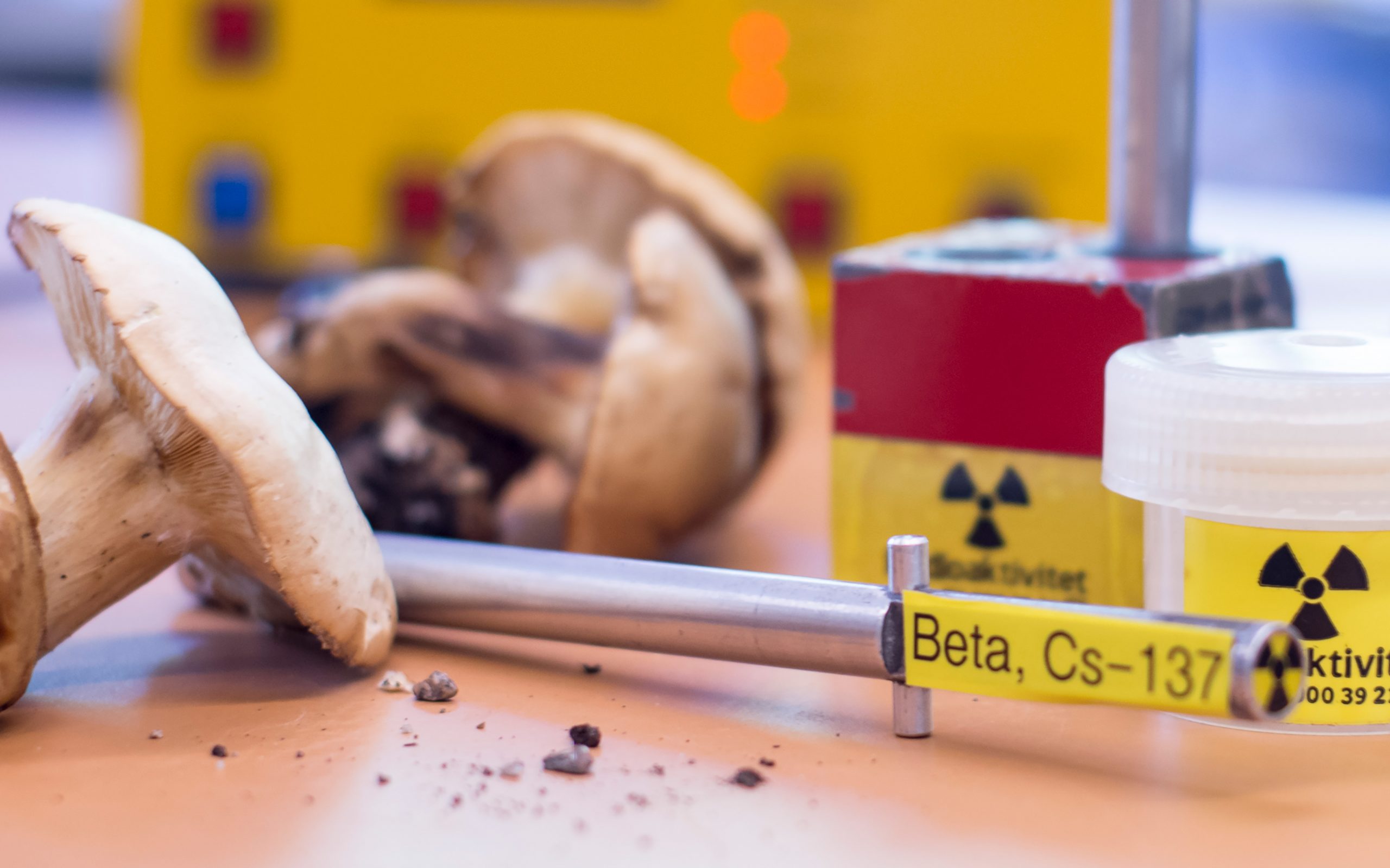Radioaktiva preparat och svamp