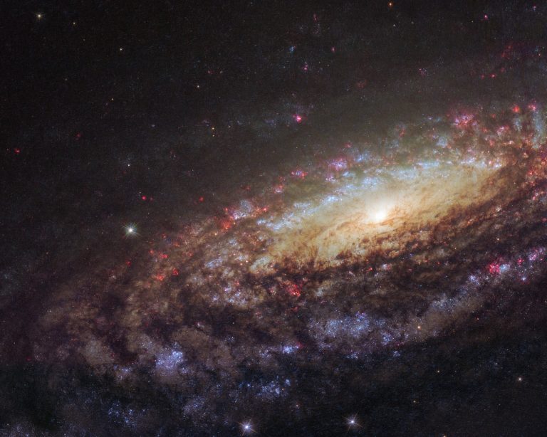 Bild: Nasa